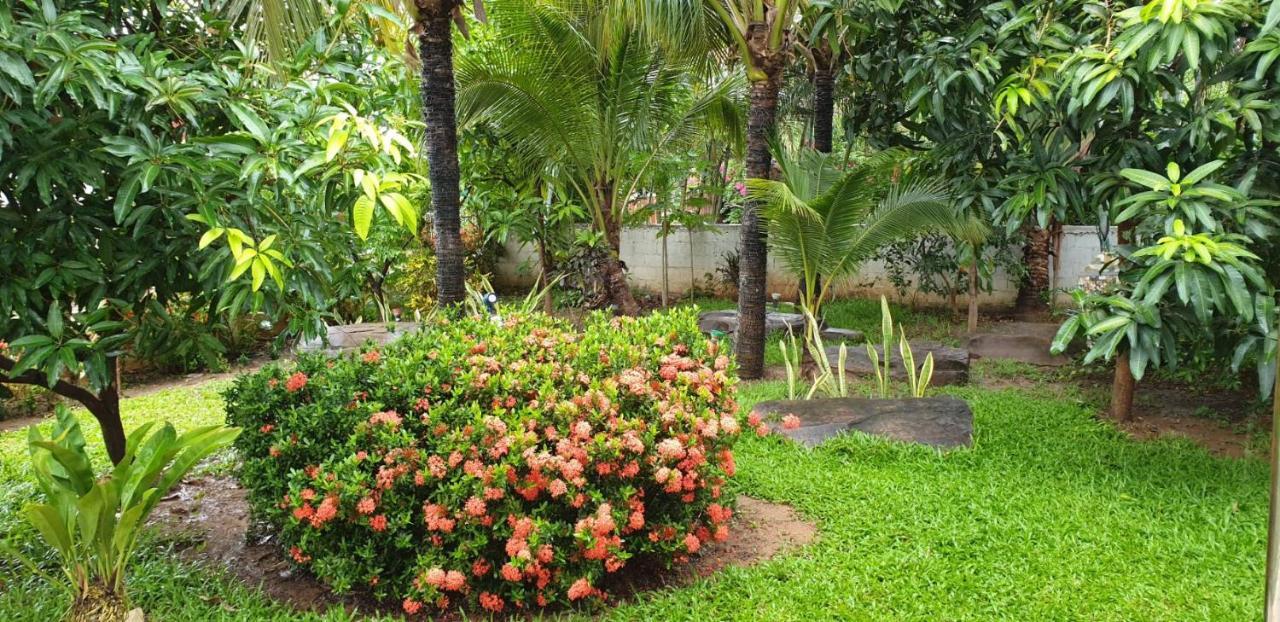 Nuch'S Apple Guest House Si Bun Ruang Bagian luar foto