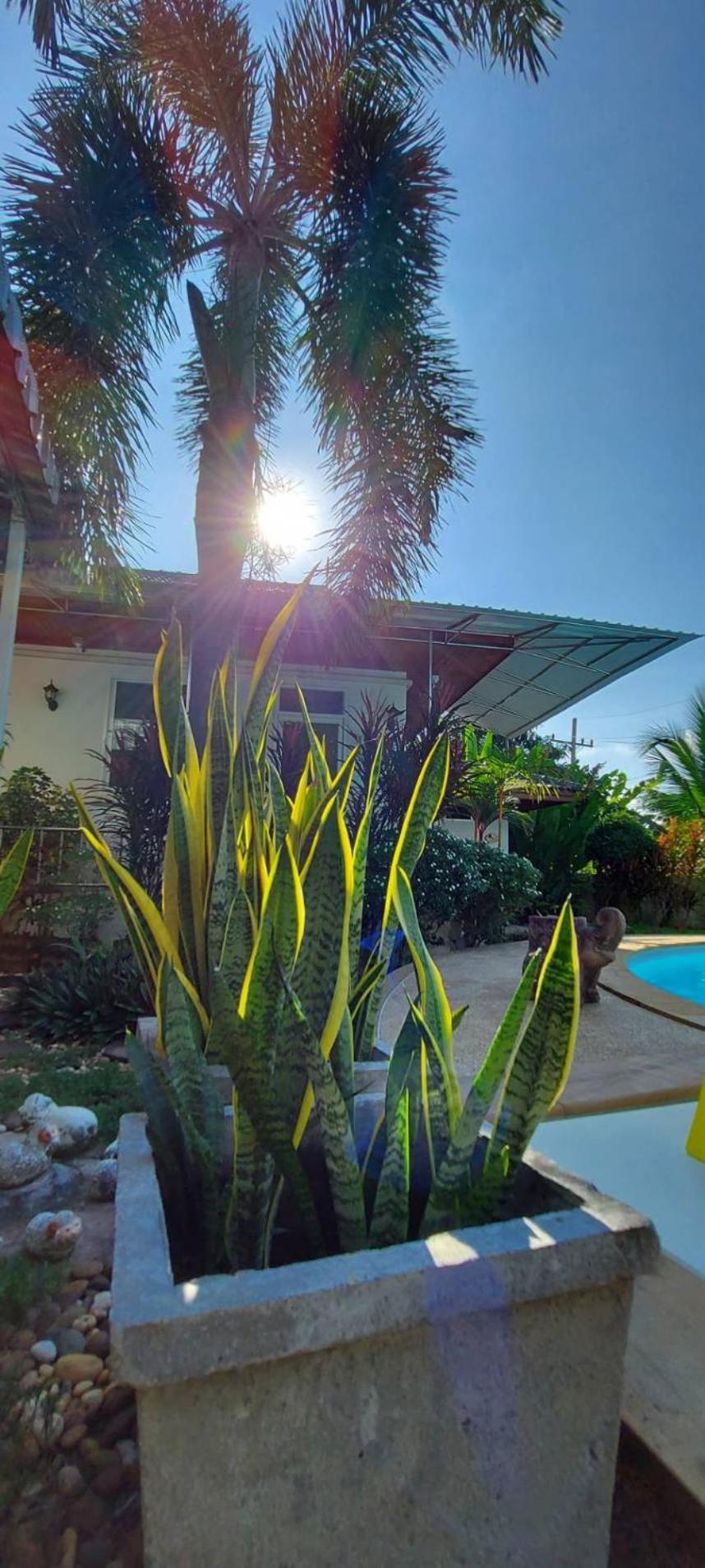 Nuch'S Apple Guest House Si Bun Ruang Bagian luar foto