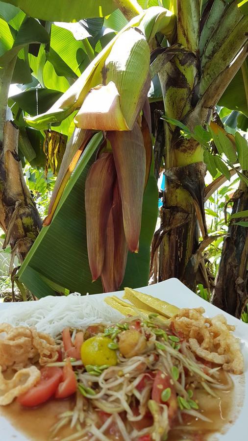 Nuch'S Apple Guest House Si Bun Ruang Bagian luar foto