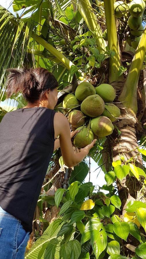 Nuch'S Apple Guest House Si Bun Ruang Bagian luar foto